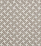 Adam Bray - Webbing - Portland - Cotton Poplin