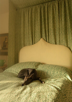 Base Cloth - Ivory - Linen: lifestyle
