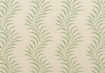 Scrolling Fern Frond Wallpaper - Leaf Green