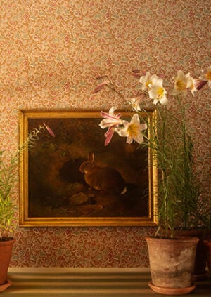Wild Tulip Wallpaper - Original: lifestyle