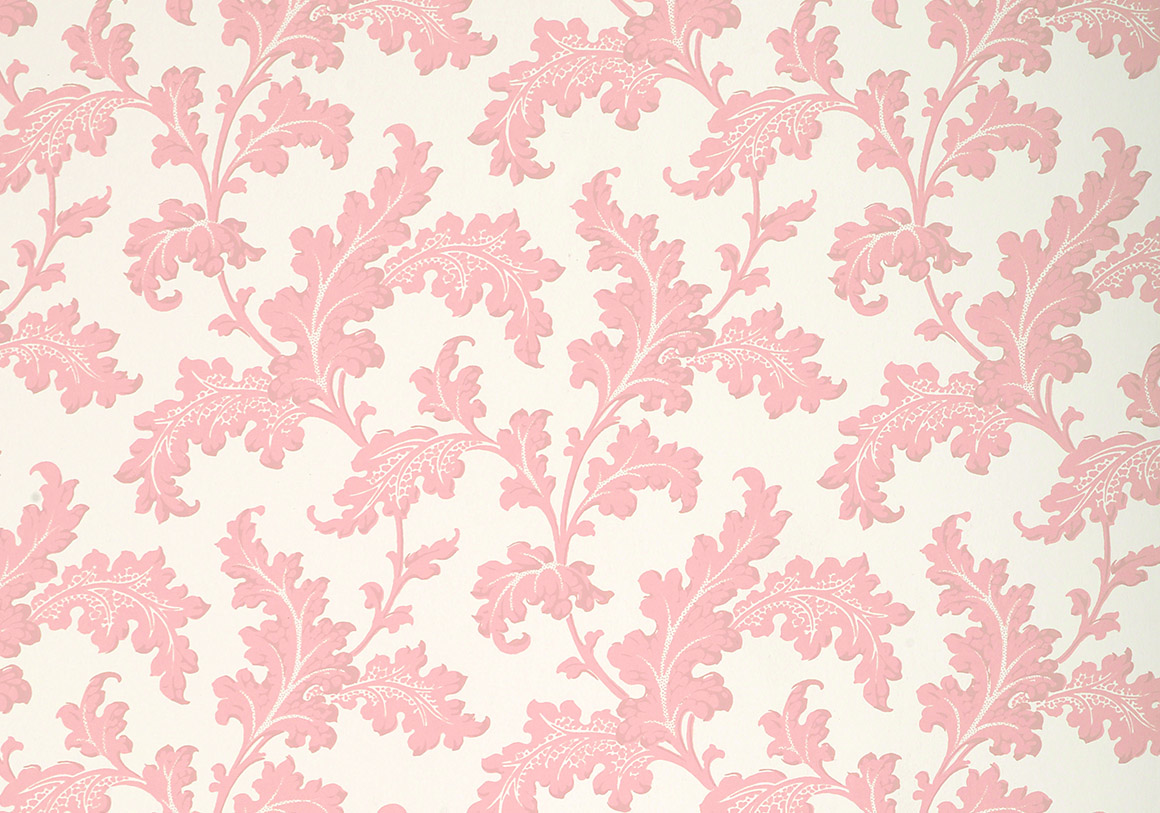 Scrolling Acanthus Wallpaper - Blossom