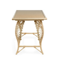 The Rattan Fern Table gallery