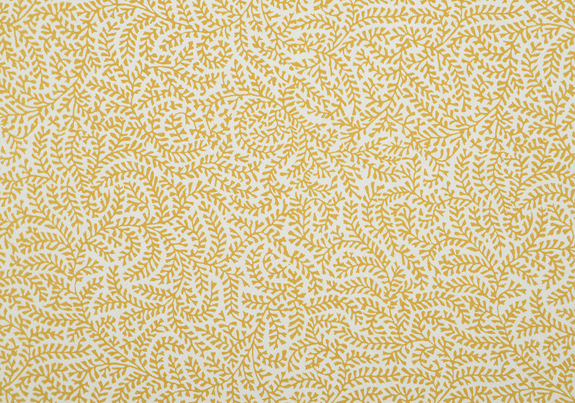 Coral - Gold - Cotton Poplin