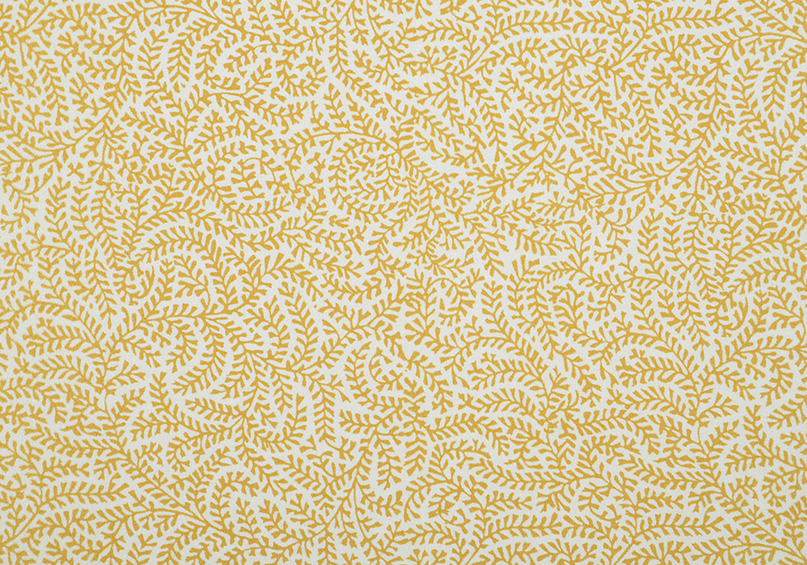 Coral - Gold - Cotton Poplin