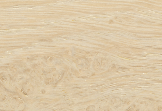 Timber Stained - Whale Bone Oak (Special)