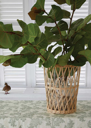 Scrolling Acanthus - Eau De Nil - Ivory Linen: lifestyle