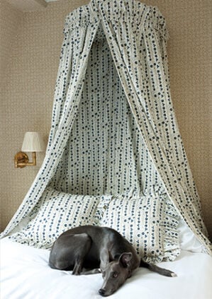 Sophie Coryndon - Albarello - Ink - Linen: lifestyle