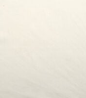 Base Cloth - Ivory - Linen Lawn