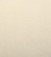 Base Cloth - Ivory - Mutka Silk
