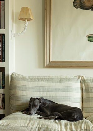 Papyrus Stripe - Vine - Weave: lifestyle