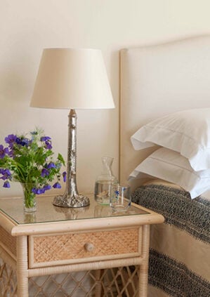 The Pygmy Palm Lamp: lifestyle