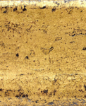 Forged - Yellow Gold