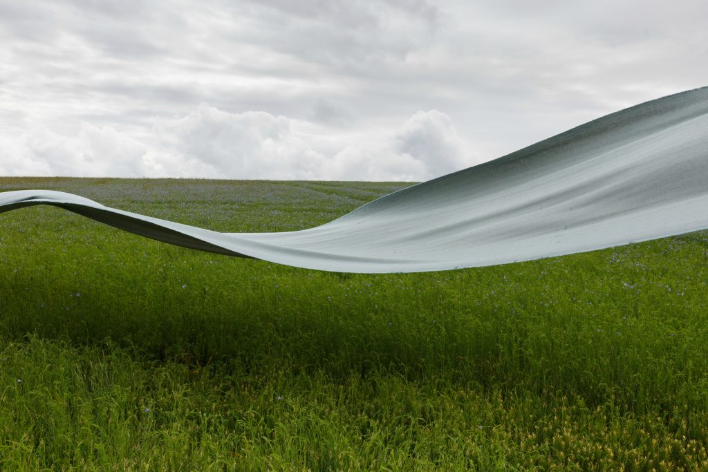 Soane Journal: Flax - From Field to Fabric