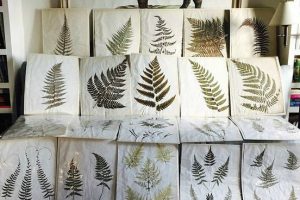 Soane Journal - Ferns and Fronds