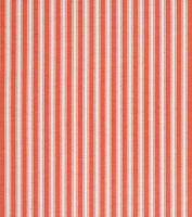 Sargent Stripe - Coral - Weave