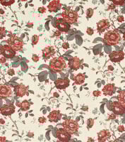 Roses - Munstead - Ivory Linen