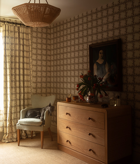 Mole Celadon upholstered armchair with dog asleep in it, next to Rattan chest of draw and below a rattan hanging light 