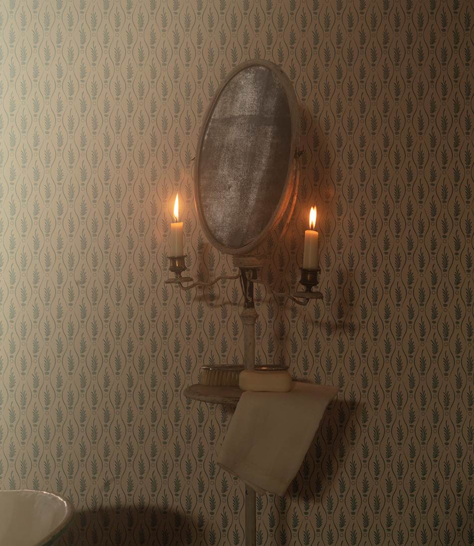 Serpentine Fern Azure Wallpaper in a bathroom 