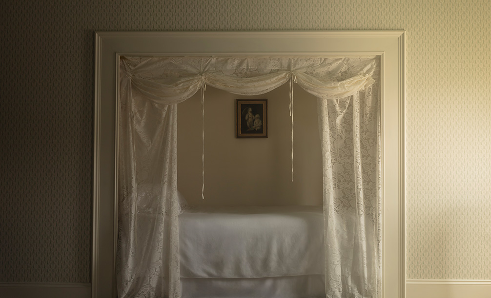 Serpentine Fern Duck Egg Blue wallpaper in a bedroom 