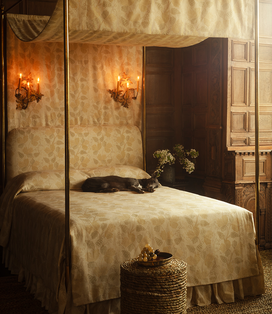 Four Poster Bed with dog sleeping