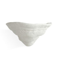 The Fungi Wall Light - Small gallery