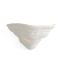 The Fungi Wall Light - Small gallery