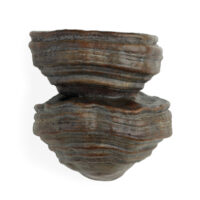 The Fungi Wall Light - Large gallery