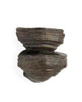The Fungi Wall Light - Large
