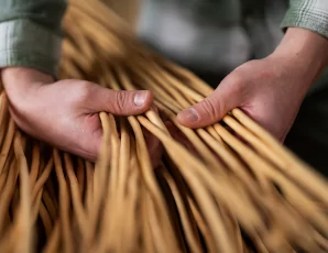 Soane's Materials - Willow