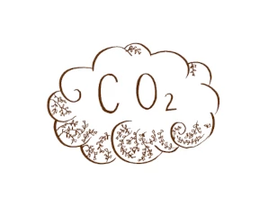 Carbon Emissions (hover-out)
