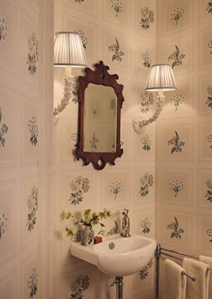 Linnaeus Wallpaper - Original: lifestyle